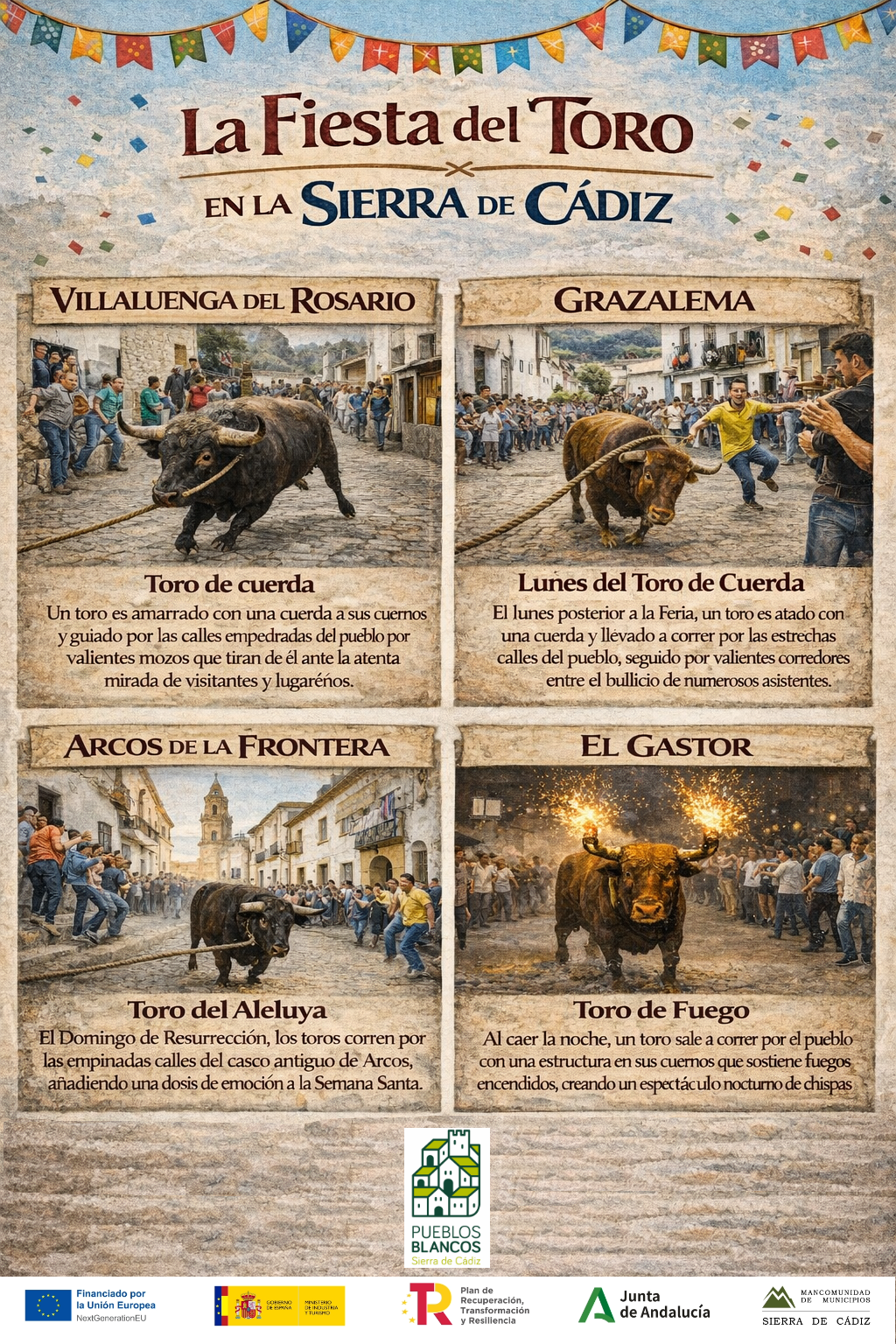 La Fiesta del Toro Grazalema, Villaluenga, Arcos y El Gastor