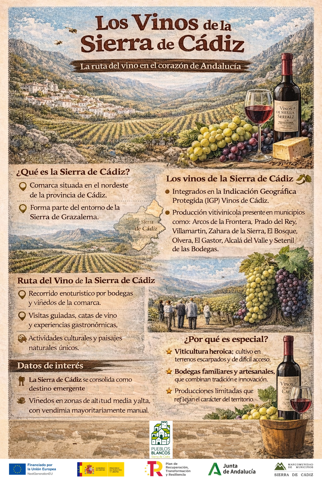 Los vinos con Denominación de Origen Sierra de Cádiz